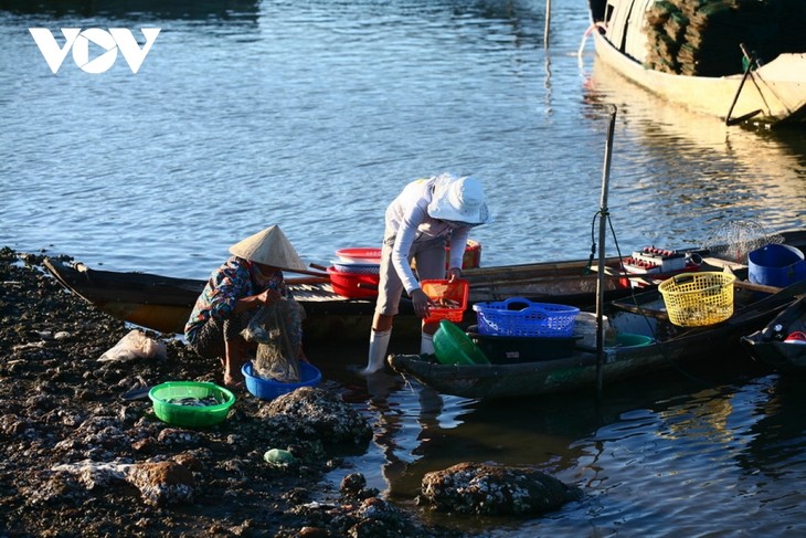 Discovering natural beauty and life in Cau Hai Lagoon - ảnh 11