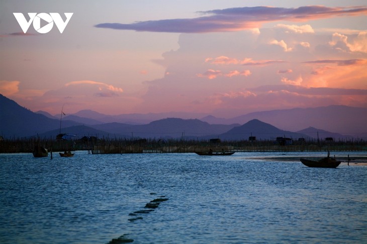 Discovering natural beauty and life in Cau Hai Lagoon - ảnh 5