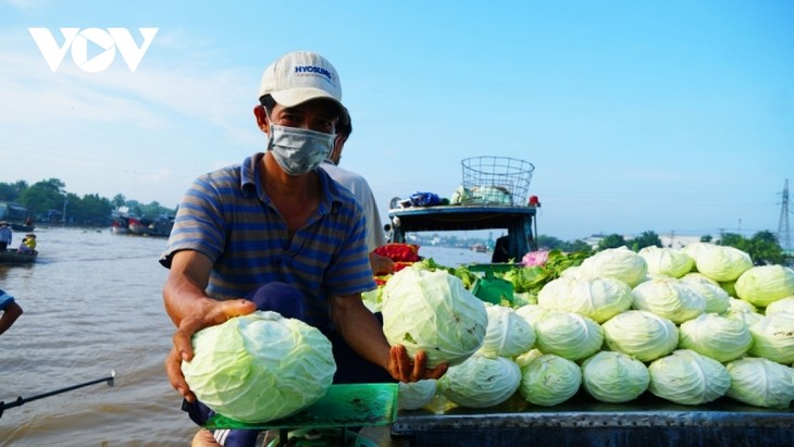 Can Tho floating market busy again during new normal period - ảnh 3