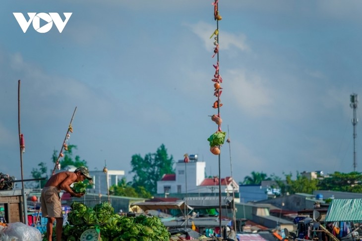 Can Tho floating market busy again during new normal period - ảnh 9