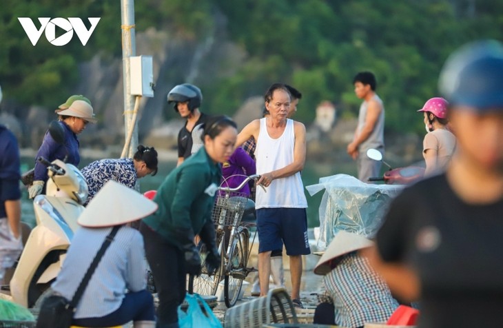 Chợ cá hừng đông bên vịnh Bái Tử Long - ảnh 11