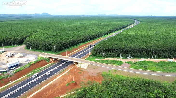 Mê mẩn rừng cao su xanh mướt ôm trọn cao tốc Dầu Giây - Phan Thiết - ảnh 2