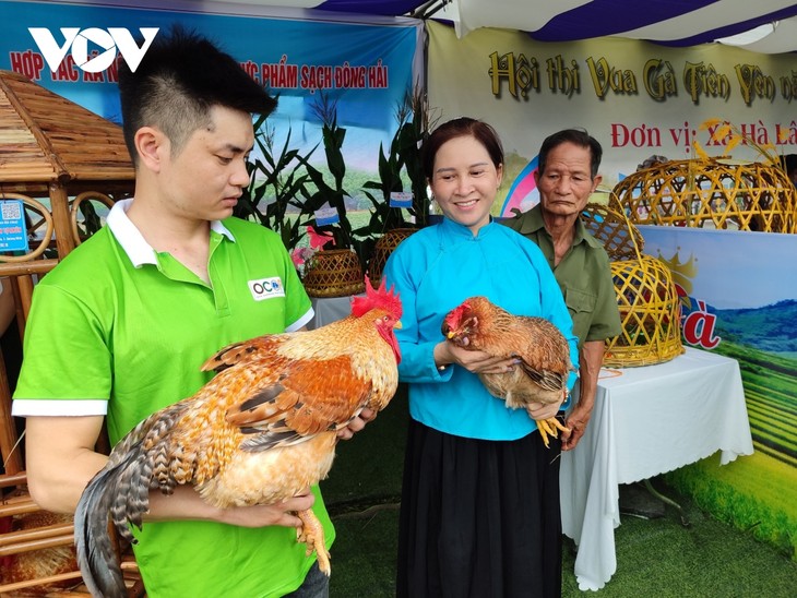 Lần đầu tiên tổ chức Hoa hậu gà Tiên Yên - ảnh 5