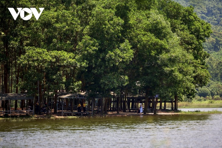 Nắng vàng, thông xanh nơi “Đà Lạt thu nhỏ” giữa lòng Quảng Ninh - ảnh 10