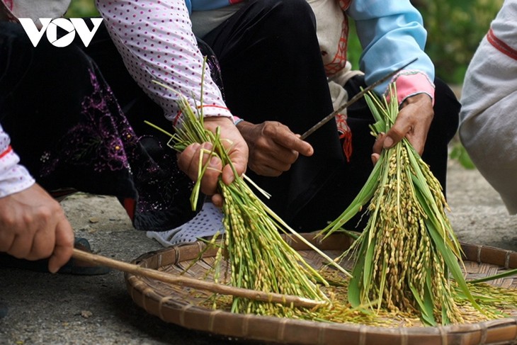 Đặc sắc nghi lễ “Chi lê xa sả lảm mể” của đồng bào Mảng Lai Châu - ảnh 13