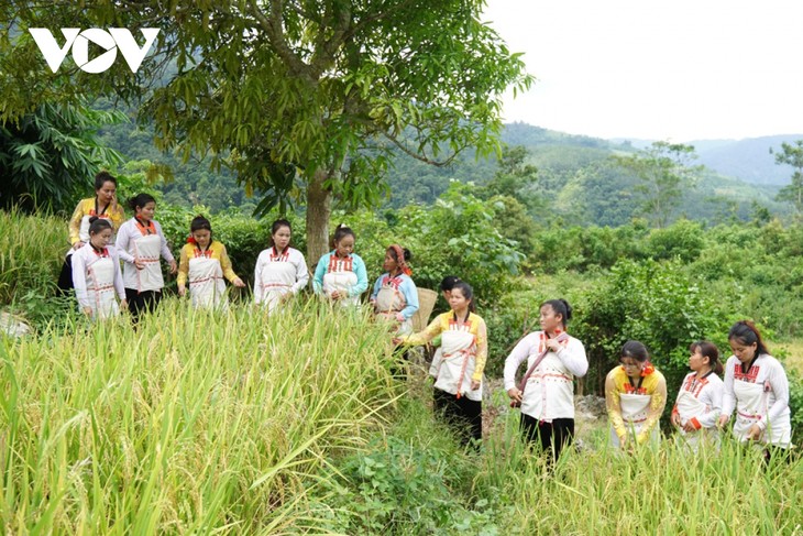 Đặc sắc nghi lễ “Chi lê xa sả lảm mể” của đồng bào Mảng Lai Châu - ảnh 8