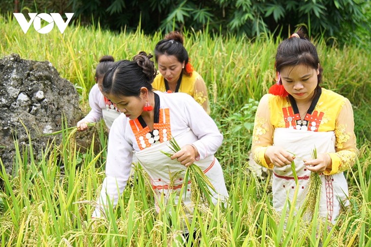 Đặc sắc nghi lễ “Chi lê xa sả lảm mể” của đồng bào Mảng Lai Châu - ảnh 9