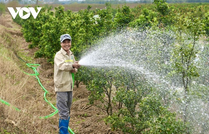 Màu no đủ ở làng hoa lớn nhất Quảng Ninh - ảnh 6