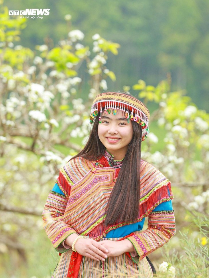 Mãn nhãn ngắm hàng nghìn gốc lê bung sắc trắng tinh khôi trên cao nguyên Bắc Hà - ảnh 11