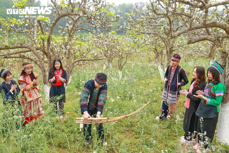 Mãn nhãn ngắm hàng nghìn gốc lê bung sắc trắng tinh khôi trên cao nguyên Bắc Hà - ảnh 6