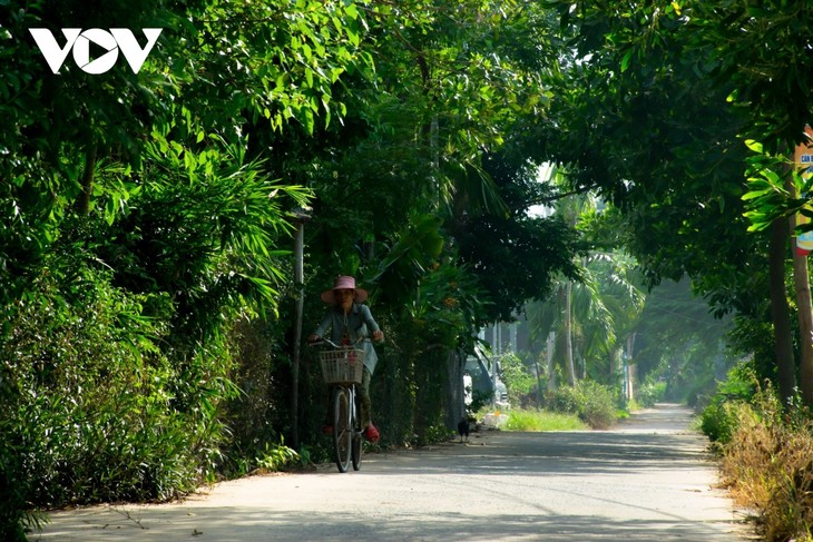 Nét đẹp bình yên bên cây cầu tre thôn Cẩm Đồng - ảnh 5