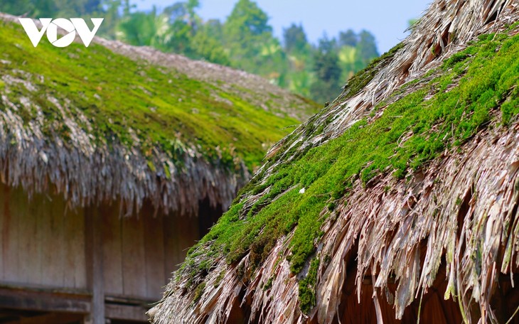 “Lạc lối” ở bản làng “phủ rêu xanh” trên dãy Tây Côn Lĩnh  - ảnh 6