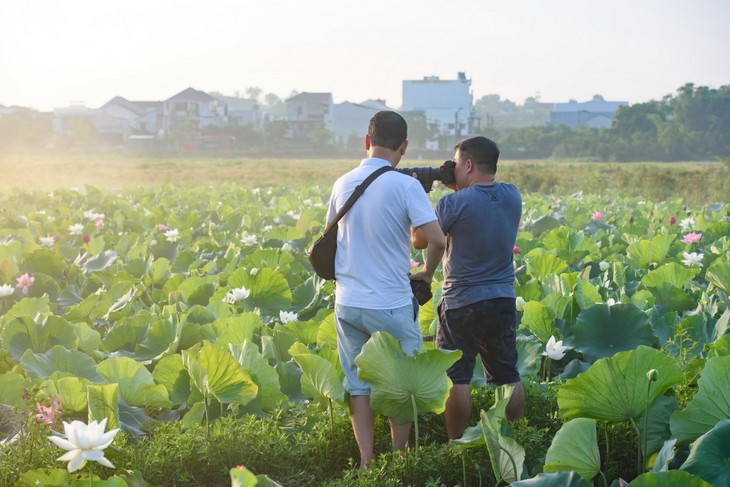 Bình yên mùa sen trắng xứ Huế - ảnh 7