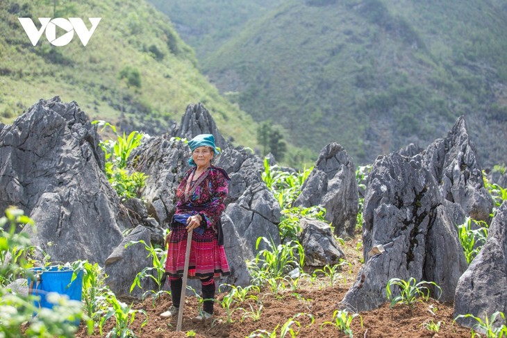 Cuộc sống bình yên trên cao nguyên đá Tủa Chùa - ảnh 5