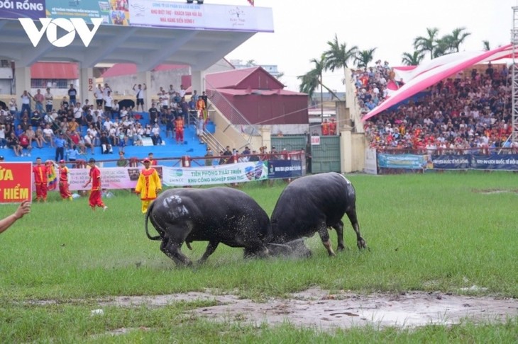 ĐTVH: Các sự kiện văn hoá nổi bật trong tuần qua ảnh - ảnh 14