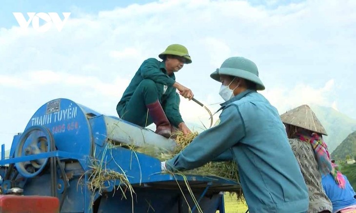 Nhộn nhịp mùa vàng trên cánh đồng Mường Than, Lai Châu - ảnh 11