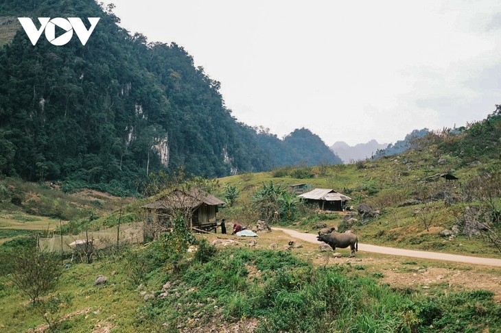 Những ngày thanh bình của cặp đôi Sài Gòn giữa núi rừng Tà Số - ảnh 2