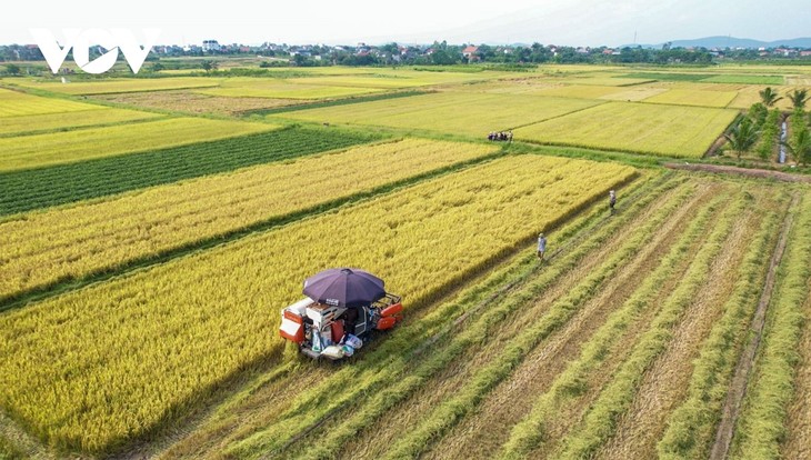 “Làng trong phố”, “phố trong làng” ở thành phố thứ 5 của tỉnh Quảng Ninh - ảnh 13