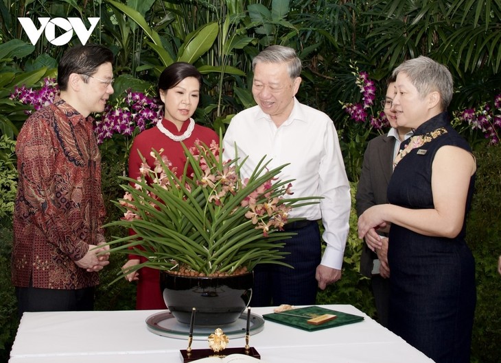 Singapore lấy tên Tổng Bí thư Tô Lâm và Phu nhân đặt cho loài hoa lan mới - ảnh 1