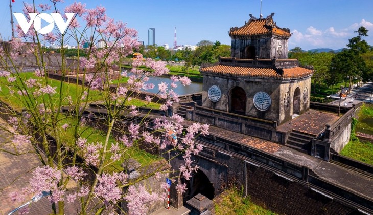 Ngắm “vương giả chi hoa” khoe sắc trong Quần thể di tích cố đô Huế - ảnh 1
