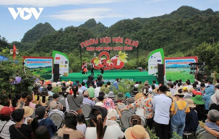 ĐTVH: Các sự kiện văn hoá nổi bật trong tuần qua ảnh - ảnh 7