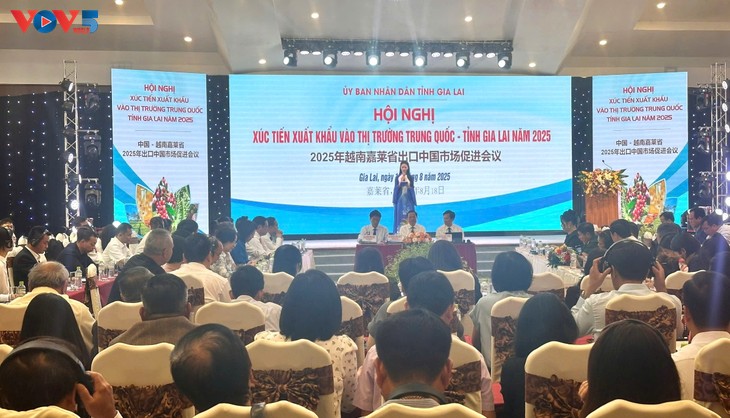 Gia Lai đẩy mạnh xúc tiến xuất khẩu vào thị trường Trung Quốc - ảnh 1