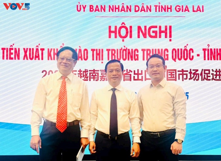 Gia Lai đẩy mạnh xúc tiến xuất khẩu vào thị trường Trung Quốc - ảnh 4