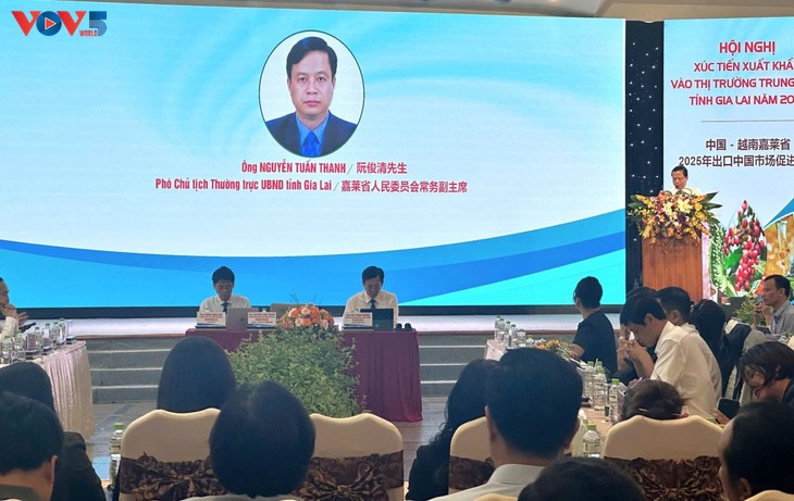 Gia Lai đẩy mạnh xúc tiến xuất khẩu vào thị trường Trung Quốc - ảnh 2