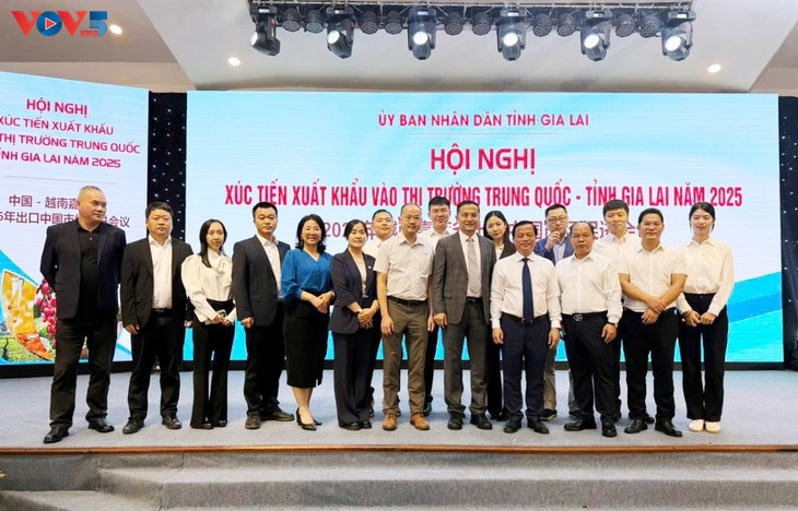 Gia Lai đẩy mạnh xúc tiến xuất khẩu vào thị trường Trung Quốc - ảnh 3