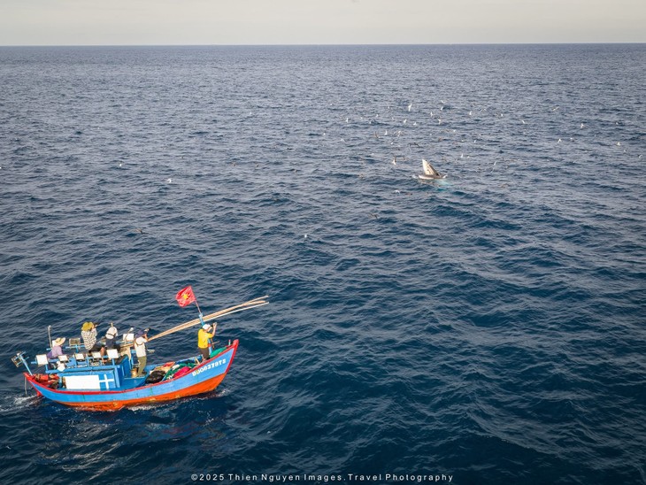 Bộ ảnh “Hành trình theo dấu cá voi Bryde ở Nhơn Lý” thắng lớn tại Giải thưởng Nhiếp ảnh Heritage 2025 - ảnh 24