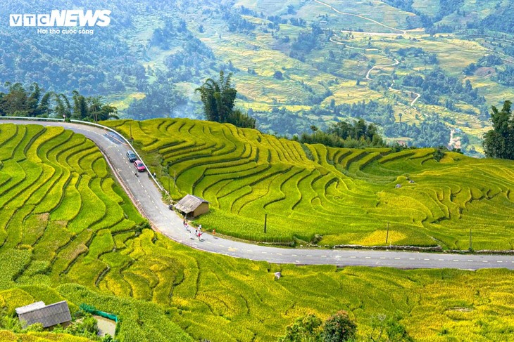 Y Tý mùa lúa chín - ảnh 2