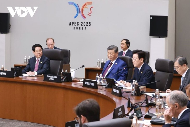 Toàn cảnh chuyến công tác dự Tuần lễ cấp cao APEC của Chủ tịch nước Lương Cường - ảnh 12