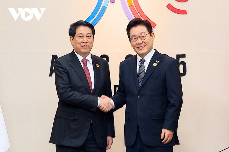 Toàn cảnh chuyến công tác dự Tuần lễ cấp cao APEC của Chủ tịch nước Lương Cường - ảnh 6