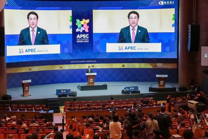 Toàn cảnh chuyến công tác dự Tuần lễ cấp cao APEC của Chủ tịch nước Lương Cường - ảnh 7