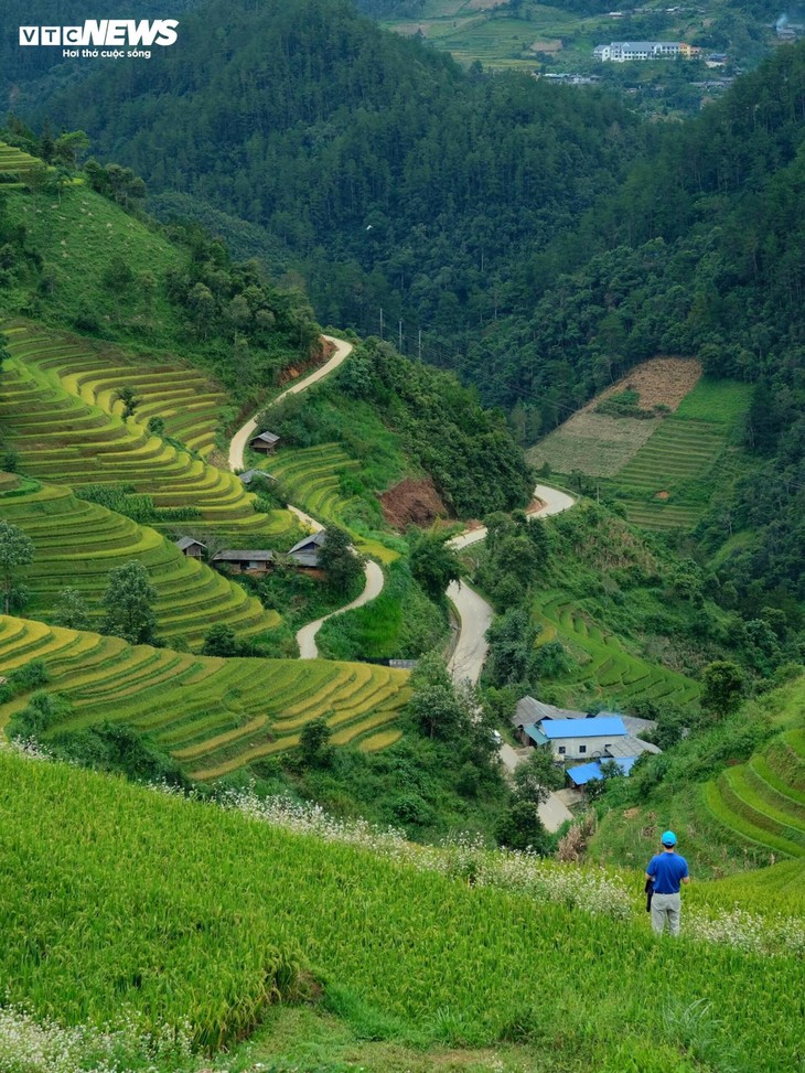 Khám phá mùa lúa chín yên bình ở bản Háng Đăng Dê, Lào Cai - ảnh 9