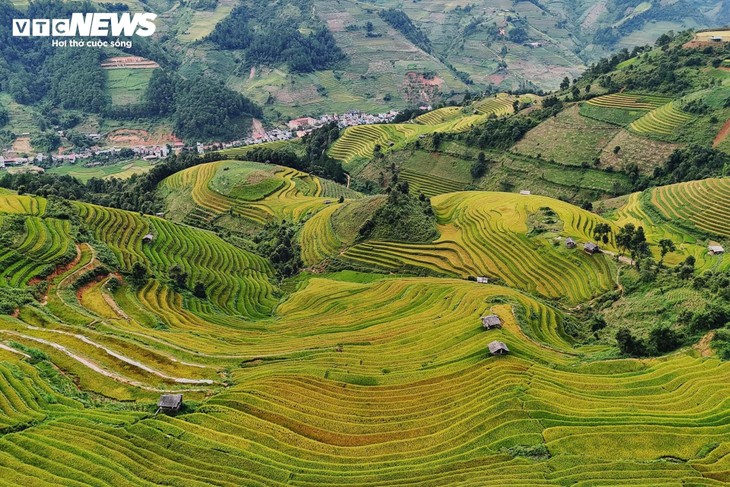 Khám phá mùa lúa chín yên bình ở bản Háng Đăng Dê, Lào Cai - ảnh 2