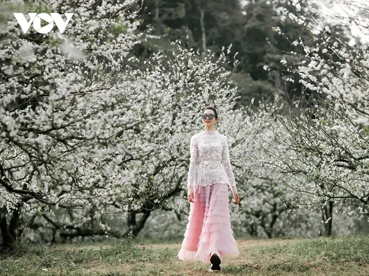 Sắc hoa gọi đông về trên cao nguyên Mộc Châu - ảnh 2