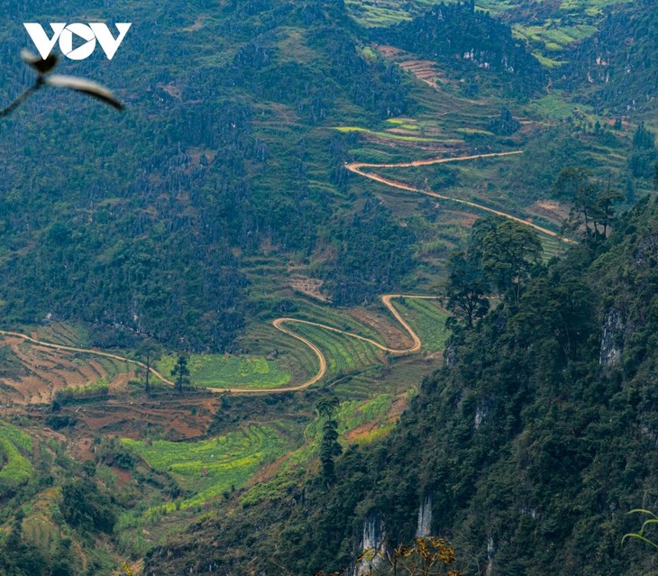 Việt Nam – top điểm đến đẹp nhất thế giới - ảnh 6