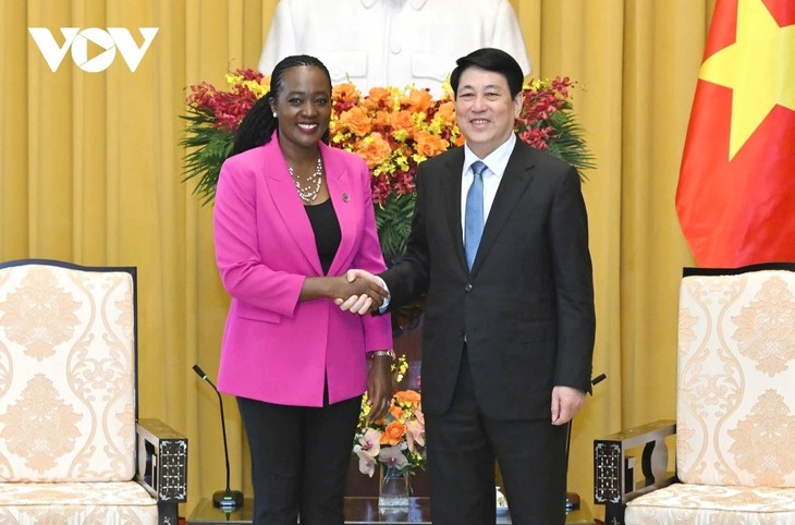 Việt Nam mong muốn làm sâu sắc hơn nữa quan hệ hữu nghị, hợp tác nhiều mặt với Kenya - ảnh 1