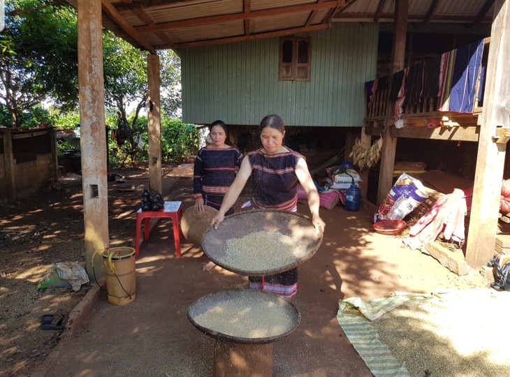 Phụ nữ dân tộc Jrai giã gạo - ảnh 2