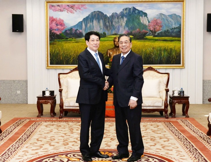 Chủ tịch nước Lương Cường gặp Nguyên các lãnh đạo cấp cao Lào - ảnh 1