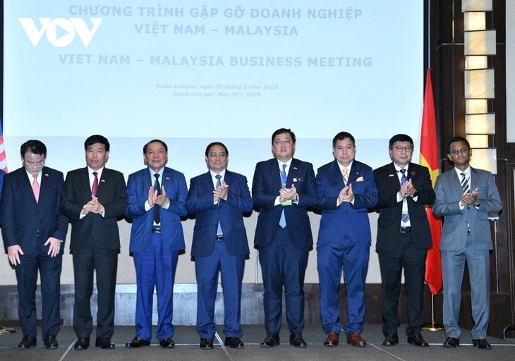 Thúc đẩy các hoạt động hợp tác, đầu tư, kinh doanh giữa doanh nghiệp Việt Nam - Malaysia - ảnh 2