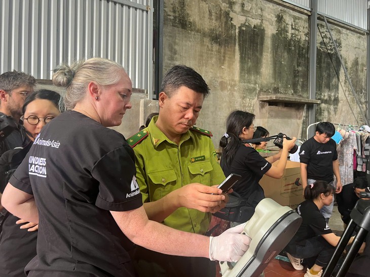 Hải Phòng: Một cá thể gấu ngựa được cứu hộ sau 20 năm nuôi nhốt - ảnh 3