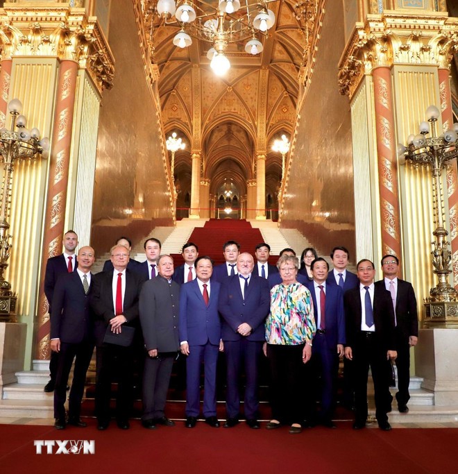 Hungary coi Việt Nam là đối tác mang tầm chiến lược quan trọng nhất ở Đông Nam Á - ảnh 1