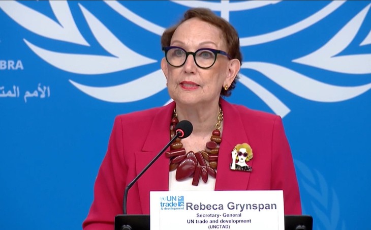 Các lo ngại trong bức tranh đầu tư toàn cầu - ảnh 1