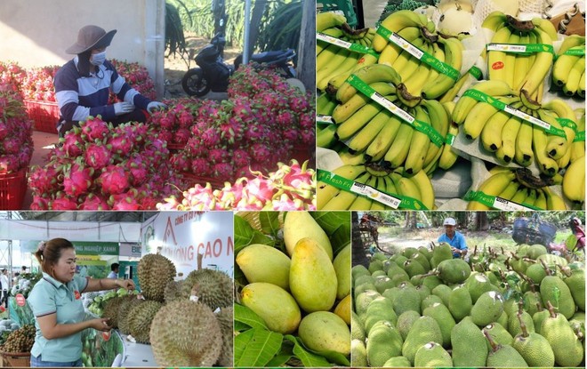 Hoa Kỳ dẫn đầu thị trường nhập khẩu nông lâm, thủy sản của Việt Nam - ảnh 1