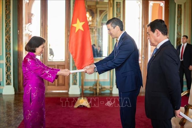 Đại sứ Việt Nam trình quốc thư lên Tổng thống Paraguay - ảnh 1