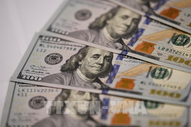 TP. Hồ Chí Minh thu hút gần 8 tỷ USD kiều hối - ảnh 1