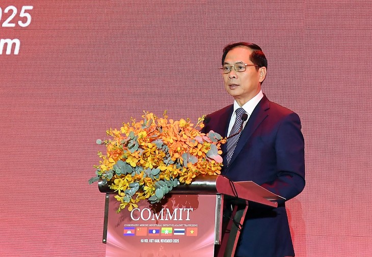 Hợp tác toàn diện về phòng, chống mua bán người trong khu vực Tiểu vùng sông Mekong - ảnh 2