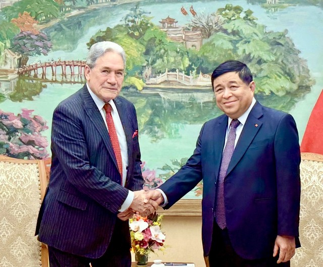 Phó Thủ tướng Nguyễn Chí Dũng tiếp Bộ trưởng Ngoại giao New Zealand Winston Peters  - ảnh 1